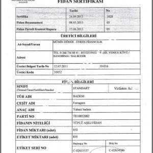 Evren Fidancılık Fidan Sertifikası
