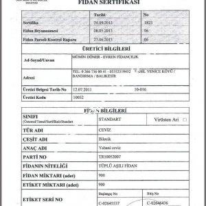 Evren Fidancılık Fidan Sertifikası