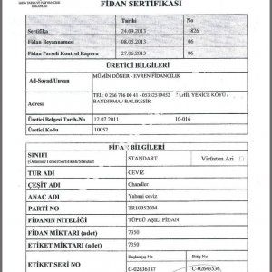 Evren Fidancılık Fidan Sertifikası