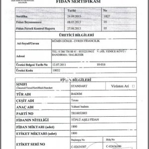 Evren Fidancılık Fidan Sertifikası