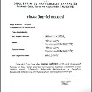 Evren Fidancılık Fidan Sertifikası