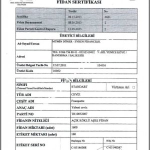Evren Fidancılık Fidan Sertifikası