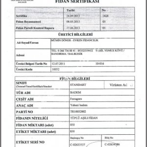 Evren Fidancılık Fidan Sertifikası