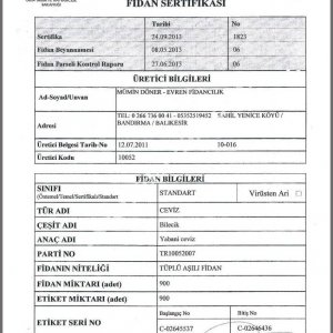 Evren Fidancılık Fidan Sertifikası