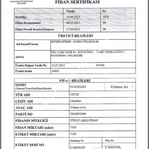 Evren Fidancılık Fidan Sertifikası