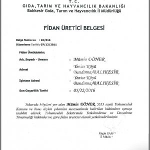 Evren Fidancılık Fidan Sertifikası