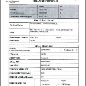 Evren Fidancılık Fidan Sertifikası